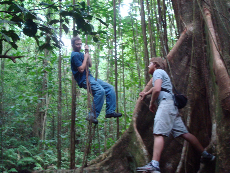 This tree was prefaced by a signpost entitled "Death". They really know how to entice the tourists.