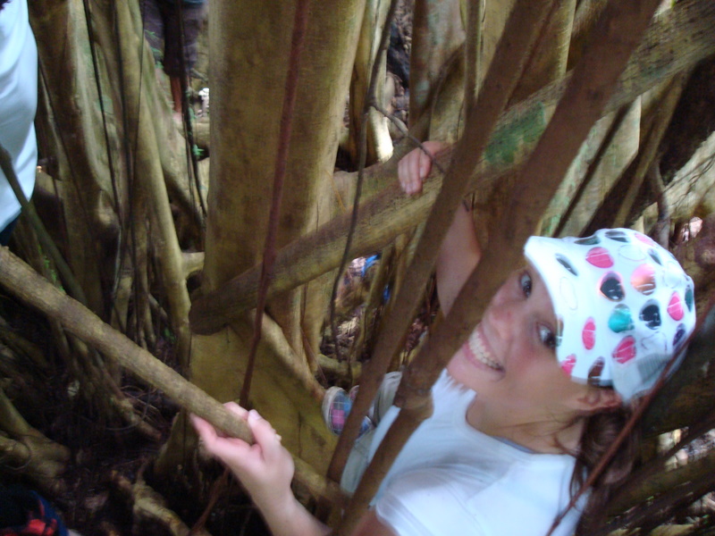 Anthony and Becca up a tree